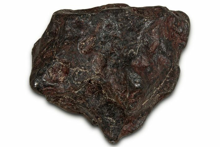 Canyon Diablo Iron Meteorite ( g) - Arizona #356018